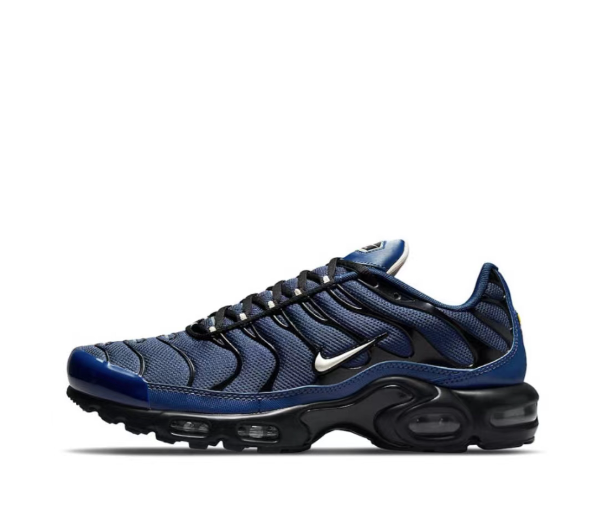 Air Max Plus Midnight Navy